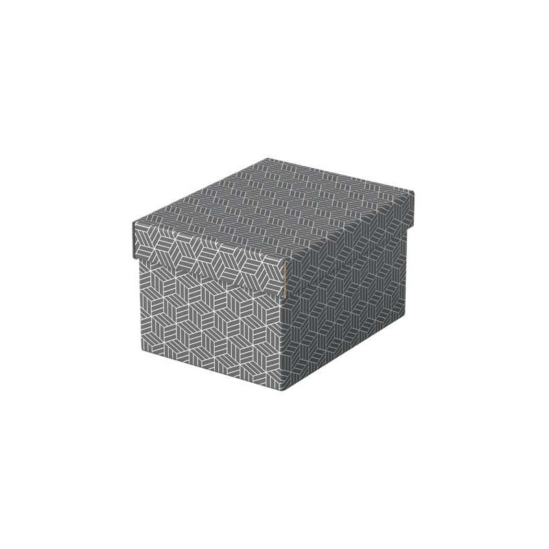 Esselte Pack de 3 Cajas Pequeñas de Almacenamiento con Tapa