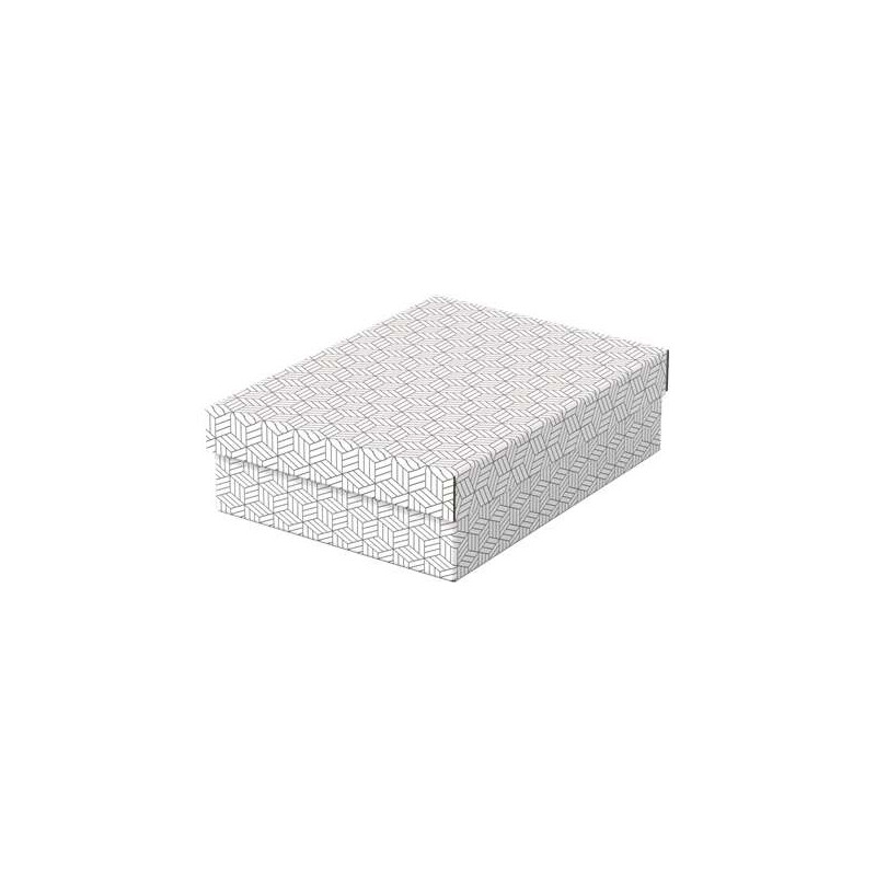 Esselte Pack de 3 Cajas Medianas de Almacenamiento con Tapa