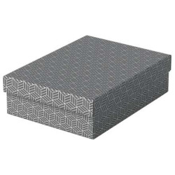 Esselte Pack de 3 Cajas Medianas de Almacenamiento con Tapa