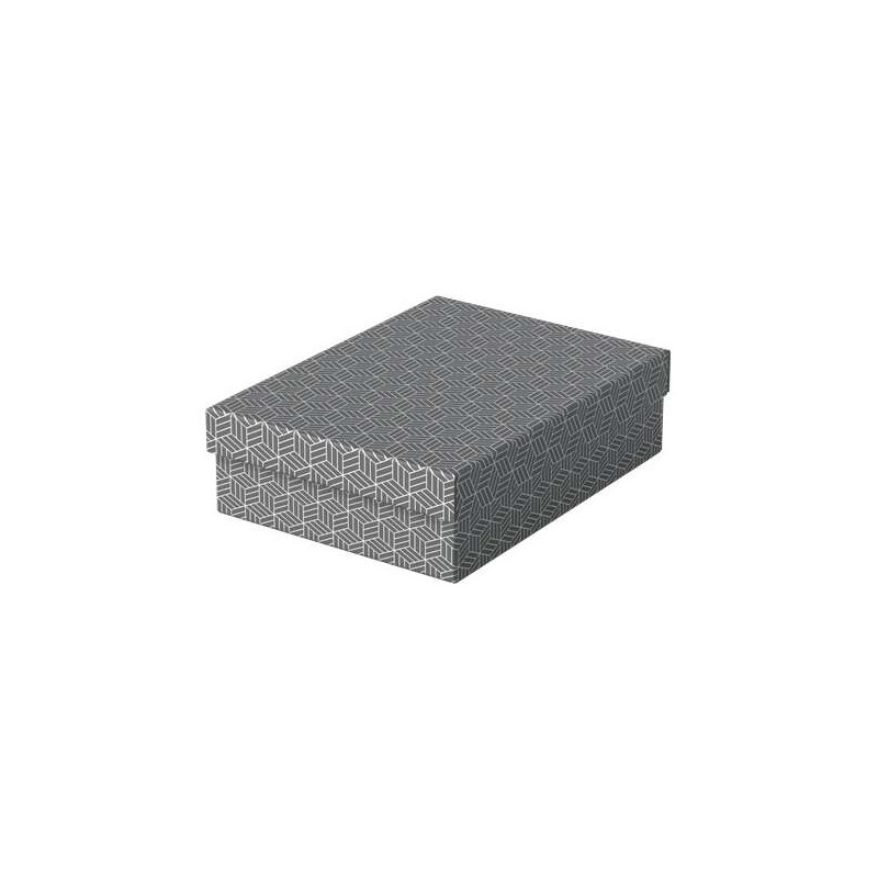 Esselte Pack de 3 Cajas Medianas de Almacenamiento con Tapa