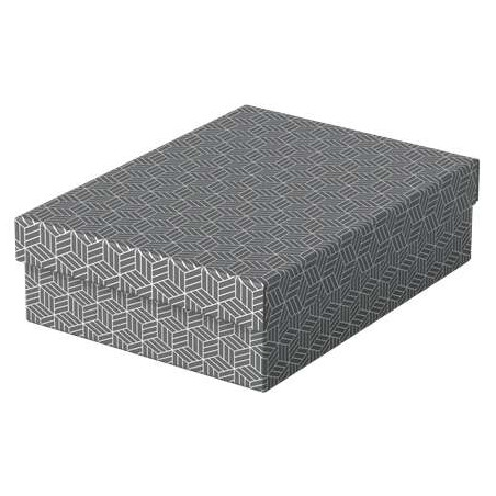 Esselte Pack de 3 Cajas Medianas de Almacenamiento con Tapa