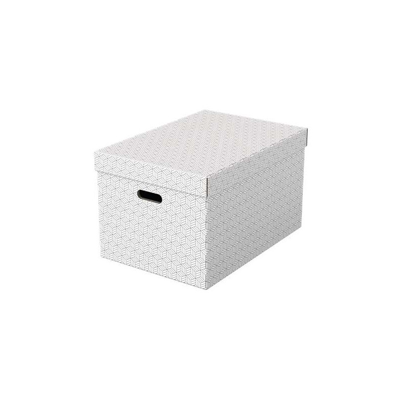 Esselte Pack de 3 Cajas Grandes de Almacenamiento con Tapa