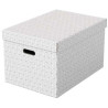 Esselte Pack de 3 Cajas Grandes de Almacenamiento con Tapa