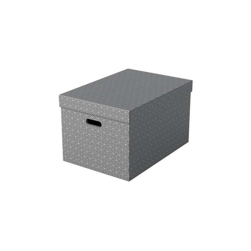 Esselte Pack de 3 Cajas Grandes de Almacenamiento con Tapa