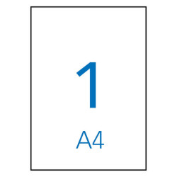 Apli Pack de 10 Etiquetas Resistentes a la Intemperie 210x297mm