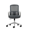 Oqonos Cherg 009 Silla de Oficina Ergonomica con Respaldo de Malla Transpirable, Piston de Gas Clase 4, Soporte Lumbar