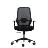 Oqonos Cherg 001 Silla de Oficina Ergonomica con Soporte Lumbar Ajustable en Altura y Profundidad, Respaldo de Malla