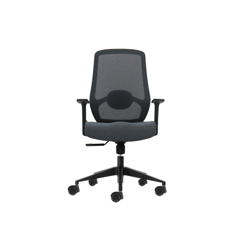 Oqonos Cherg 002 Silla de Oficina Ergonomica con Soporte Lumbar Ajustable en Altura y Profundidad, Respaldo de Malla