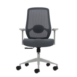 Oqonos Cherg 003 Silla de Oficina Ergonomica con Soporte Lumbar Ajustable en Altura y Profundidad, Respaldo de Malla
