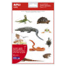 Apli Gomets Tematicos Realistas de Reptiles y Anfibios (5u.)