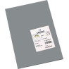 Canson Guarro Pack de 50 Cartulinas Iris A4 de 185g