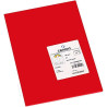 Canson Guarro Pack de 50 Cartulinas Iris A4 de 185g