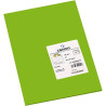 Canson Guarro Pack de 50 Cartulinas Iris A4 de 185g