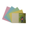 Fabrisa Pack de 50 Cartulinas 180 g/m²
