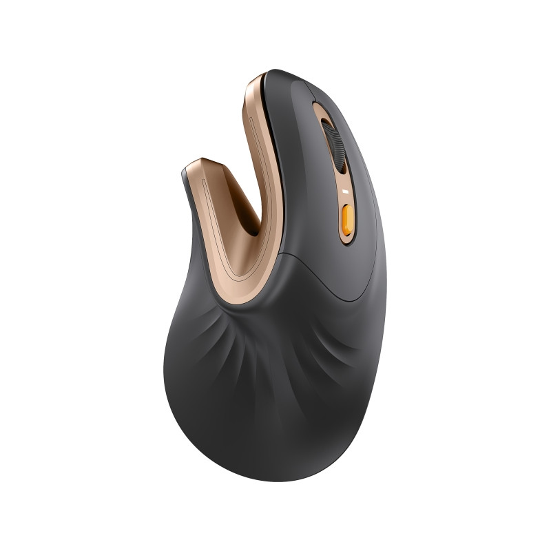 ProtoArc EM11 NL Raton Vertical Ergonomico Inalambrico