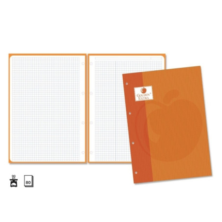Golden Extra Recambio de 80 Hojas 90gr Cuadricula 4x4 (5u.)