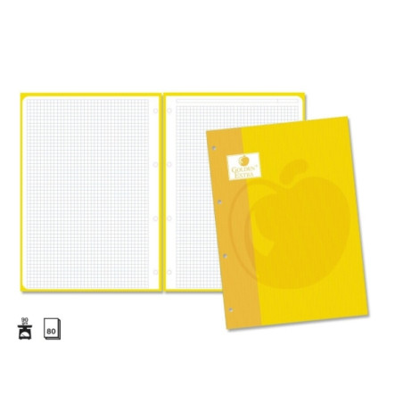 Golden Extra Recambio de 80 Hojas 90gr Cuadricula 4x4 (5u.)