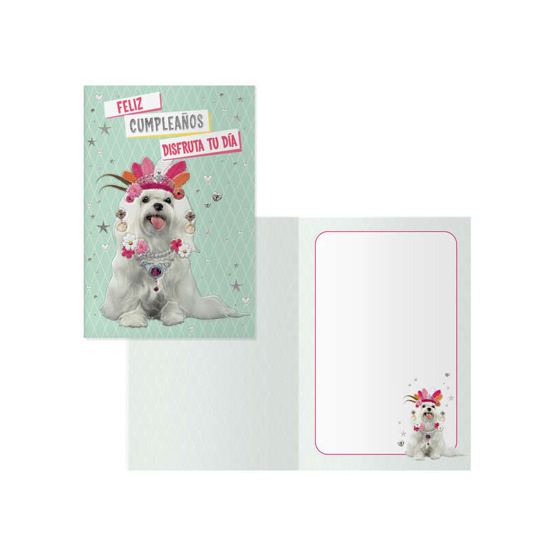 Dohe Pack de 6 Tarjetas de Felicitacion de Cumpleaños