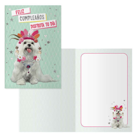 Dohe Pack de 6 Tarjetas de Felicitacion de Cumpleaños