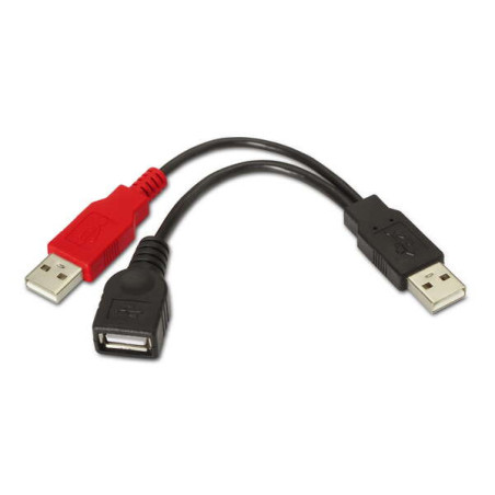 Aisens Cable USB 2.0+Alimentacion