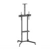 Ewent Soporte de Suelo con Ruedas para Pantallas 37"-70"