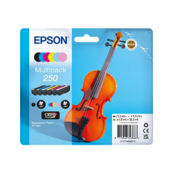 Cartucho de tinta Epson 250 Pack de 6 Cartuchos de Tinta es