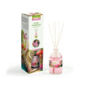Fusor Prady Ambientador Mikado Jardin de Hadas - 2,14€
