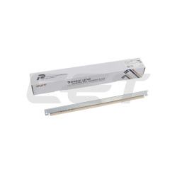Correa de Transferencia Xerox XECE281117 Compatible - 7,05€