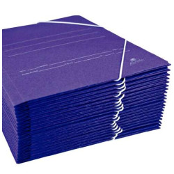 Mariola Carpeta de Carton Sencilla Folio 500gr/m2 (20u.)