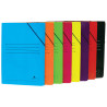 Mariola Carpeta de Carton Plastificado Folio 500gr/m2 (20u.)
