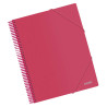 Dohe Carpeta con 20 Fundas Tamaño A4 Rosa