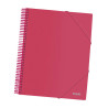 Dohe Carpeta con 30 Fundas Tamaño A4 Rosa