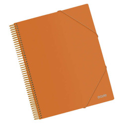 Dohe Carpeta con 30 Fundas Tamaño A4