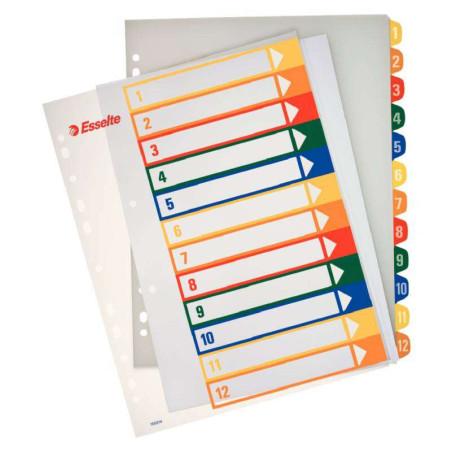 Esselte Indice para Proyectos Imprimible A4 Maxi Tipo 1-12