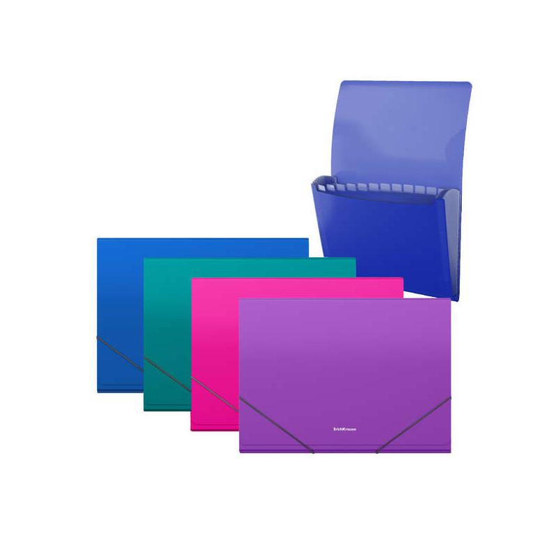 ErichKrause Matt Vivid Carpeta/Clasificador con 12 Fundas A4 (4u.)