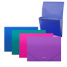 ErichKrause Matt Vivid Carpeta/Clasificador con 12 Fundas A4 (4u.)