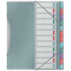 Esselte Colour'Breeze Clasificador con 12 Pestañas Multicolor