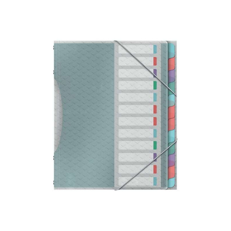Esselte Colour'Breeze Clasificador con 12 Pestañas Multicolor