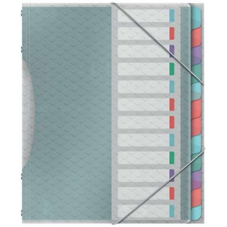 Esselte Colour'Breeze Clasificador con 12 Pestañas Multicolor