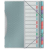 Esselte Colour'Breeze Clasificador con 12 Pestañas Multicolor
