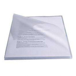Esselte Caja de 100 Dossiers PVC 180 Micras