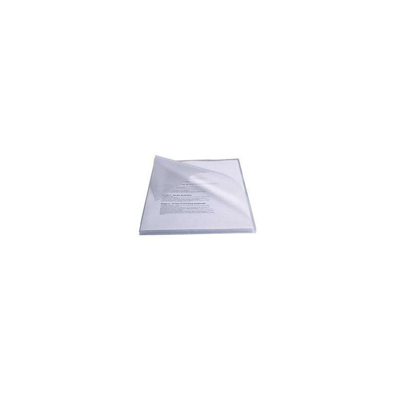 Esselte Caja de 100 Dossiers PVC 180 Micras