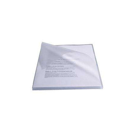 Esselte Caja de 100 Dossiers PVC 180 Micras